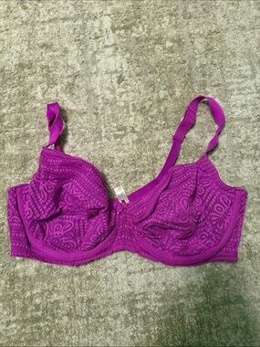 Cacique Lace Underwire Bra in Vibrant Magenta size 42DD